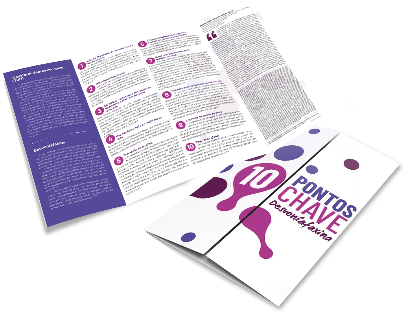 Mockup do projeto 10 pontos-chave
