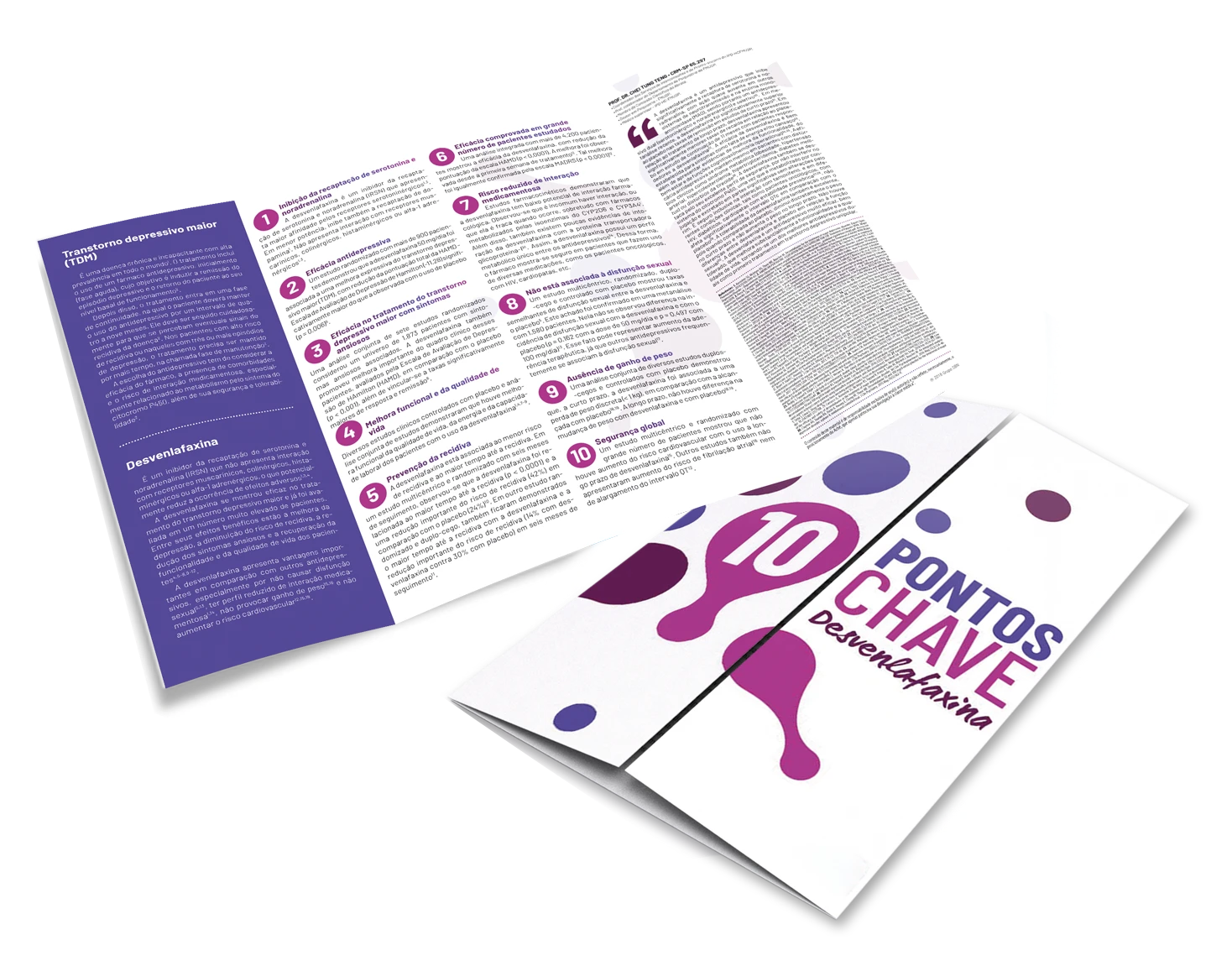 Mockup do projeto 10 pontos-chave