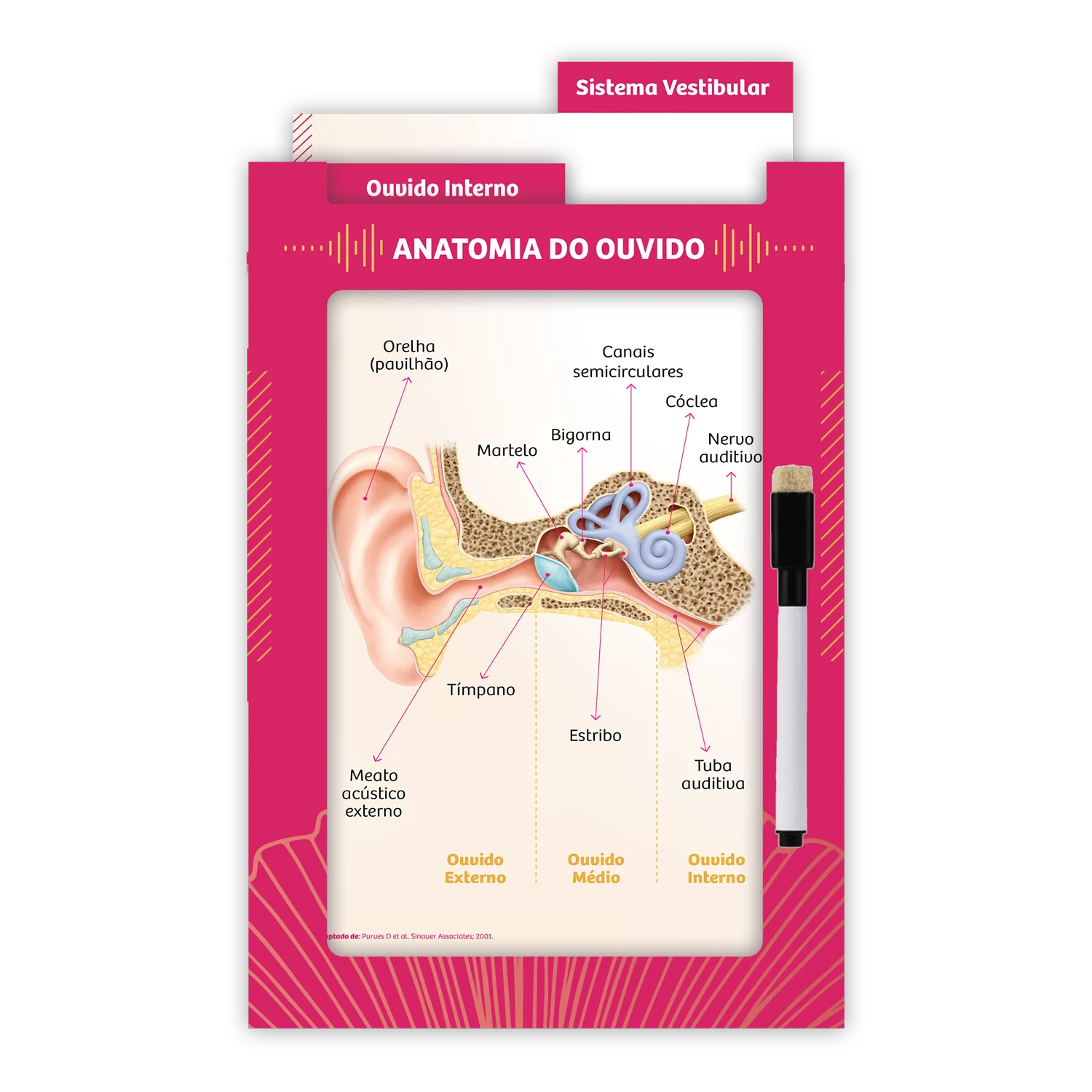 Mockup do projeto Projetos especiais